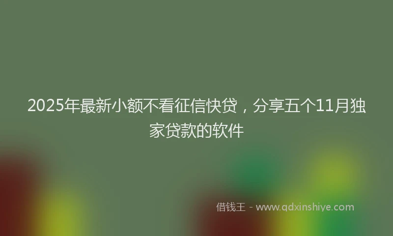 2025年最新小额不看征信快贷，分享五个11月独家贷款的软件