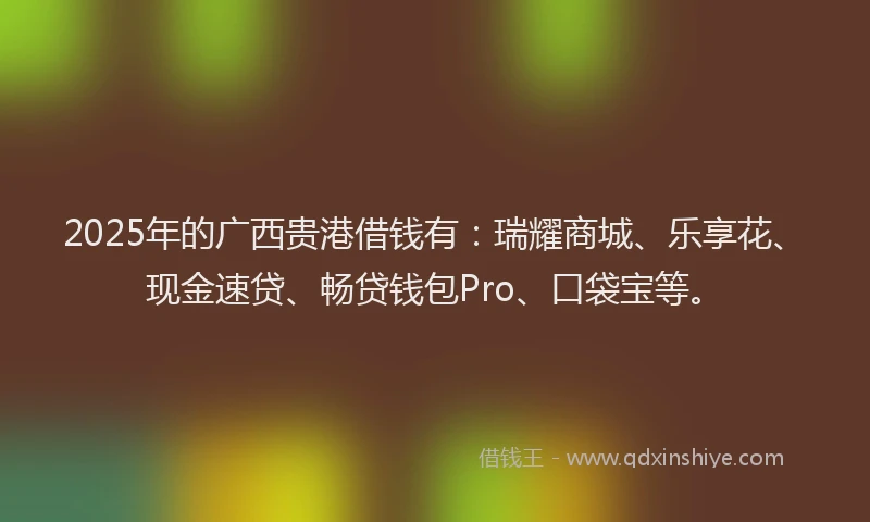 2025年的广西贵港借钱有：瑞耀商城、乐享花、现金速贷、畅贷钱包Pro、口袋宝等。