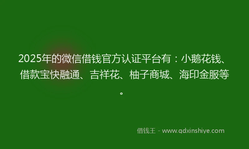 2025年的微信借钱官方认证平台有：小鹅花钱、借款宝快融通、吉祥花、柚子商城、海印金服等。