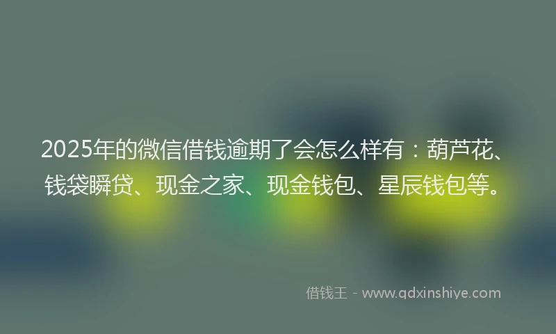 2025年的微信借钱逾期了会怎么样有：葫芦花、钱袋瞬贷、现金之家、现金钱包、星辰钱包等。