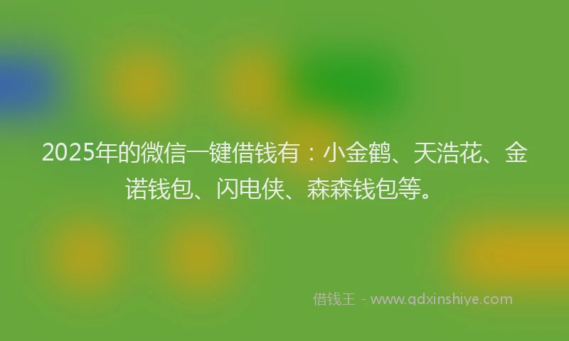 2025年的微信一键借钱有：小金鹤、天浩花、金诺钱包、闪电侠、森森钱包等。