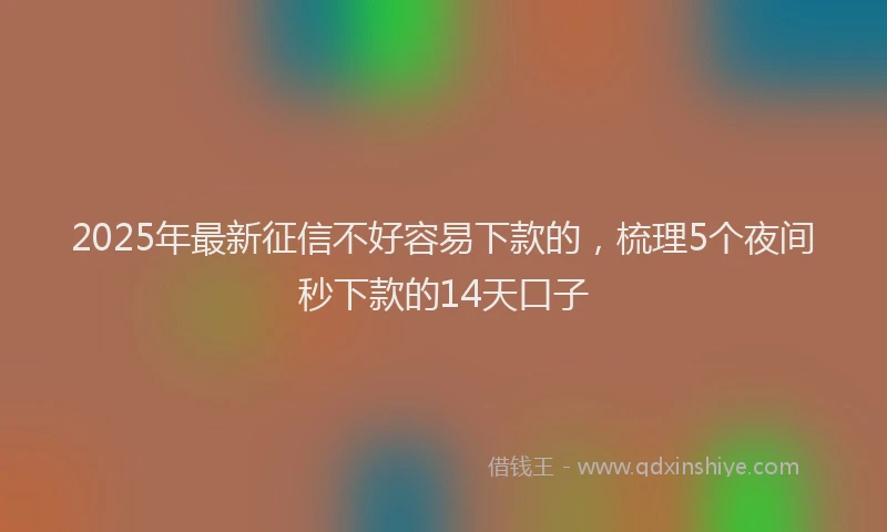 2025年最新征信不好容易下款的，梳理5个夜间秒下款的14天口子