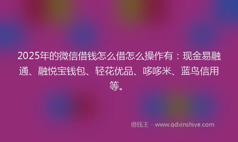 2025年的微信借钱怎么借怎么操作有：现金易融通、融悦宝钱包、轻花优品、哆哆米、蓝鸟信用等。