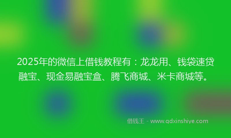 2025年的微信上借钱教程有：龙龙用、钱袋速贷融宝、现金易融宝盒、腾飞商城、米卡商城等。