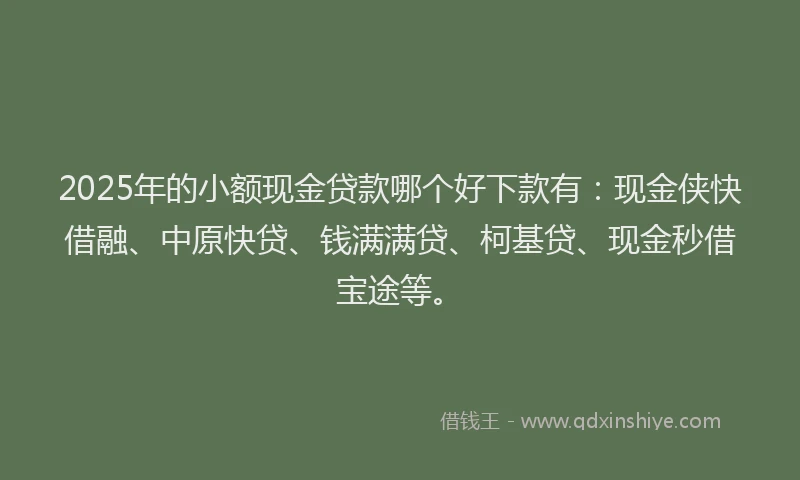 2025年的小额现金贷款哪个好下款有：现金侠快借融、中原快贷、钱满满贷、柯基贷、现金秒借宝途等。