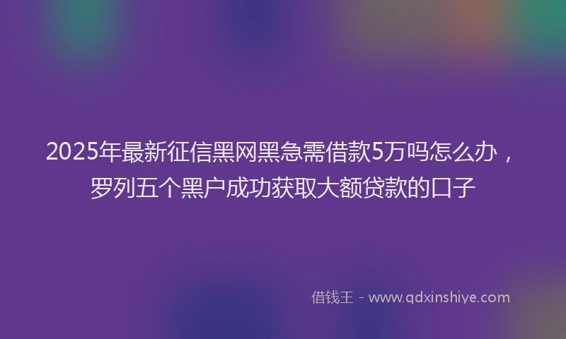 2025年最新征信黑网黑急需借款5万吗怎么办，罗列五个黑户成功获取大额贷款的口子