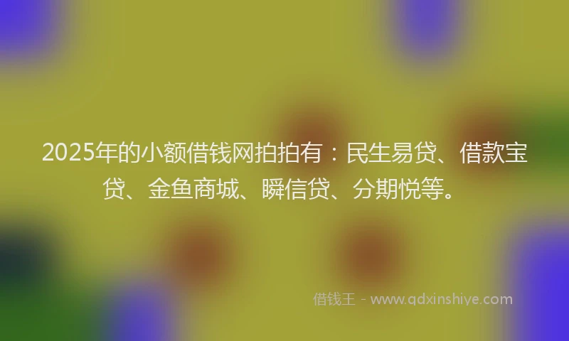 2025年的小额借钱网拍拍有：民生易贷、借款宝贷、金鱼商城、瞬信贷、分期悦等。