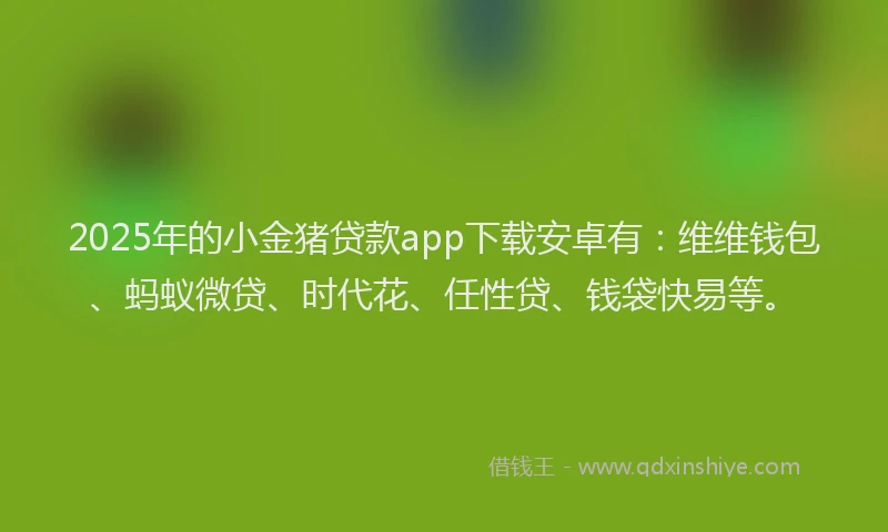 2025年的小金猪贷款app下载安卓有：维维钱包、蚂蚁微贷、时代花、任性贷、钱袋快易等。