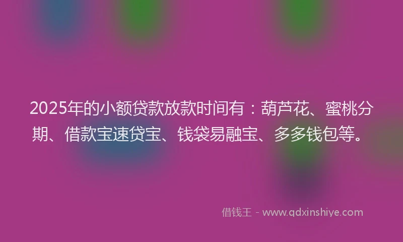 2025年的小额贷款放款时间有：葫芦花、蜜桃分期、借款宝速贷宝、钱袋易融宝、多多钱包等。