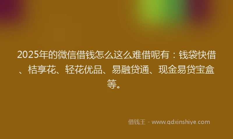 2025年的微信借钱怎么这么难借呢有：钱袋快借、桔享花、轻花优品、易融贷通、现金易贷宝盒等。