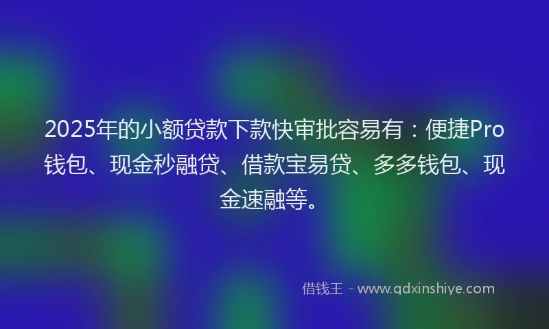 2025年的小额贷款下款快审批容易有：便捷Pro钱包、现金秒融贷、借款宝易贷、多多钱包、现金速融等。