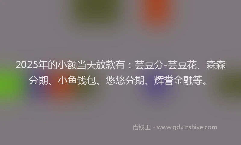 2025年的小额当天放款有：芸豆分-芸豆花、森森分期、小鱼钱包、悠悠分期、辉誉金融等。