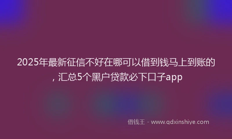 2025年最新征信不好在哪可以借到钱马上到账的，汇总5个黑户贷款必下口子app