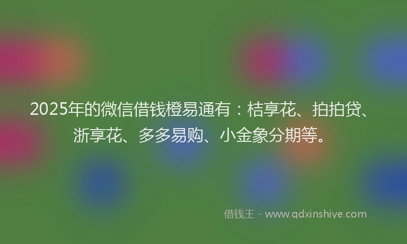 2025年的微信借钱橙易通有：桔享花、拍拍贷、浙享花、多多易购、小金象分期等。