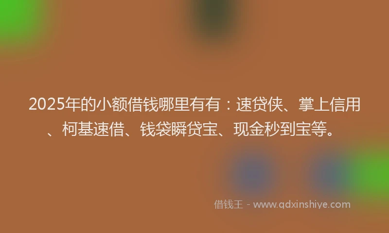 2025年的小额借钱哪里有有：速贷侠、掌上信用、柯基速借、钱袋瞬贷宝、现金秒到宝等。