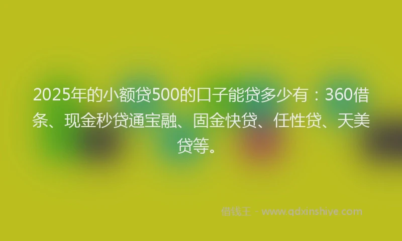 2025年的小额贷500的口子能贷多少有：360借条、现金秒贷通宝融、固金快贷、任性贷、天美贷等。