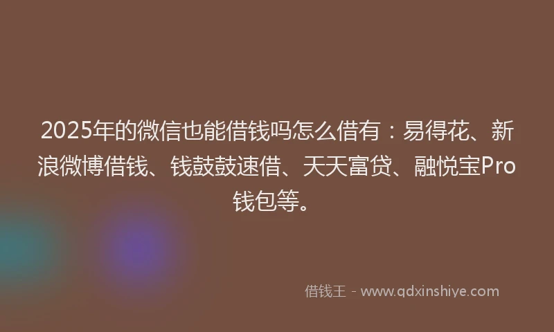 2025年的微信也能借钱吗怎么借有：易得花、新浪微博借钱、钱鼓鼓速借、天天富贷、融悦宝Pro钱包等。