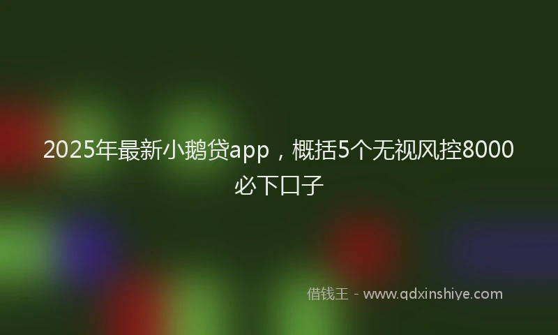 2025年最新小鹅贷app，概括5个无视风控8000必下口子