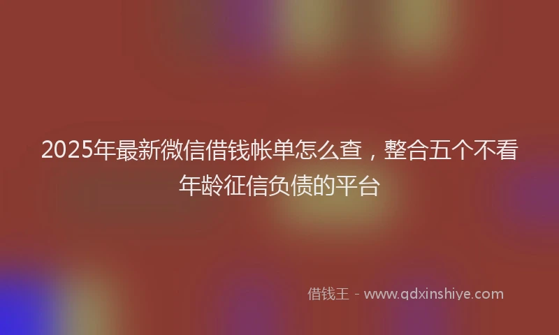 2025年最新微信借钱帐单怎么查，整合五个不看年龄征信负债的平台