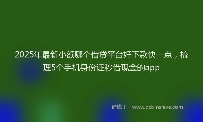 2025年最新小额哪个借贷平台好下款快一点，梳理5个手机身份证秒借现金的app
