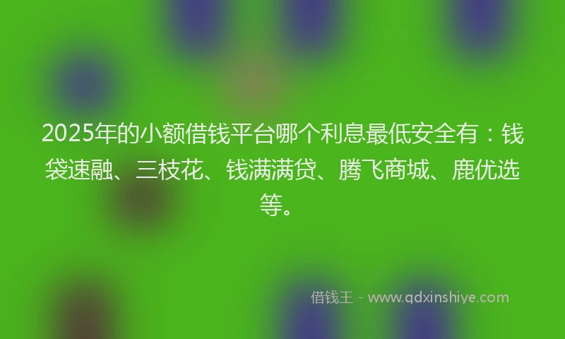 2025年的小额借钱平台哪个利息最低安全有：钱袋速融、三枝花、钱满满贷、腾飞商城、鹿优选等。