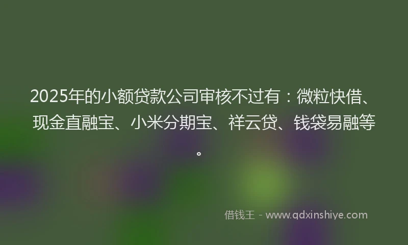 2025年的小额贷款公司审核不过有：微粒快借、现金直融宝、小米分期宝、祥云贷、钱袋易融等。