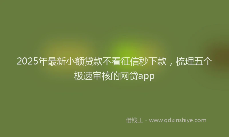 2025年最新小额贷款不看征信秒下款，梳理五个极速审核的网贷app