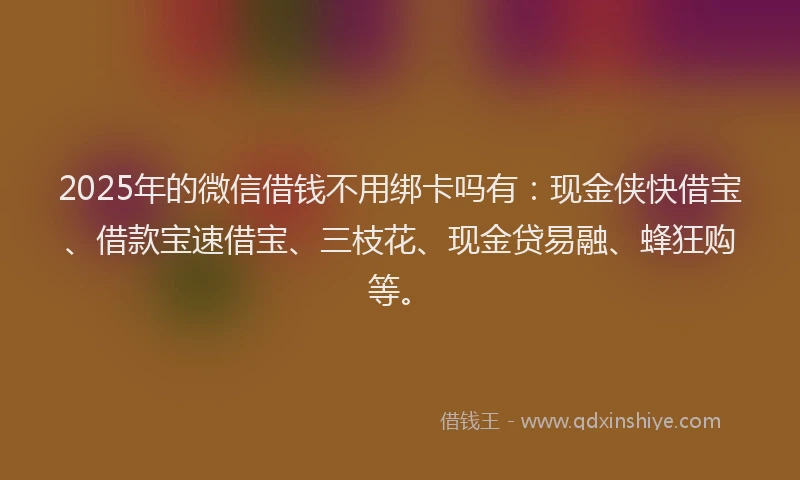 2025年的微信借钱不用绑卡吗有：现金侠快借宝、借款宝速借宝、三枝花、现金贷易融、蜂狂购等。