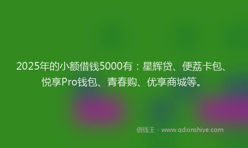 2025年的小额借钱5000有：星辉贷、便荔卡包、悦享Pro钱包、青春购、优享商城等。
