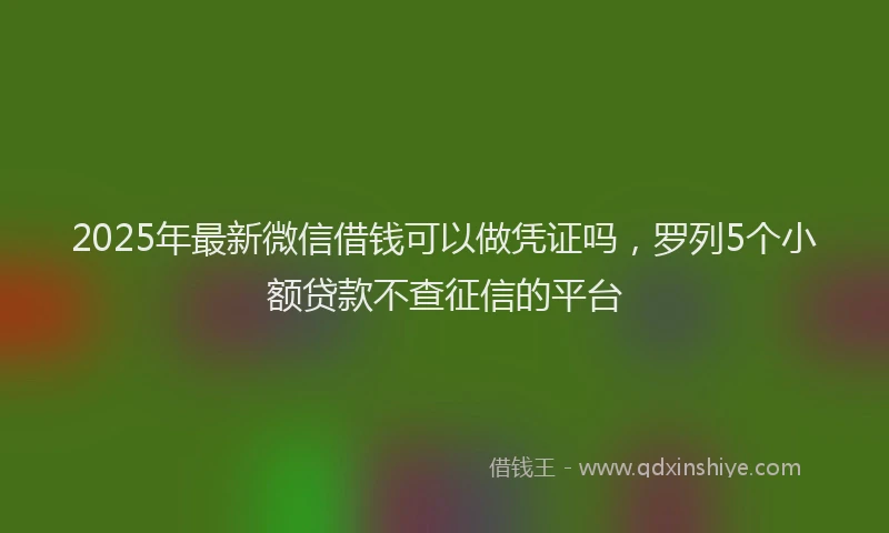 2025年最新微信借钱可以做凭证吗，罗列5个小额贷款不查征信的平台
