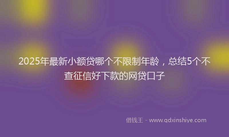 2025年最新小额贷哪个不限制年龄，总结5个不查征信好下款的网贷口子