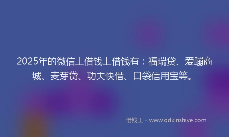 2025年的微信上借钱上借钱有：福瑞贷、爱蹦商城、麦芽贷、功夫快借、口袋信用宝等。
