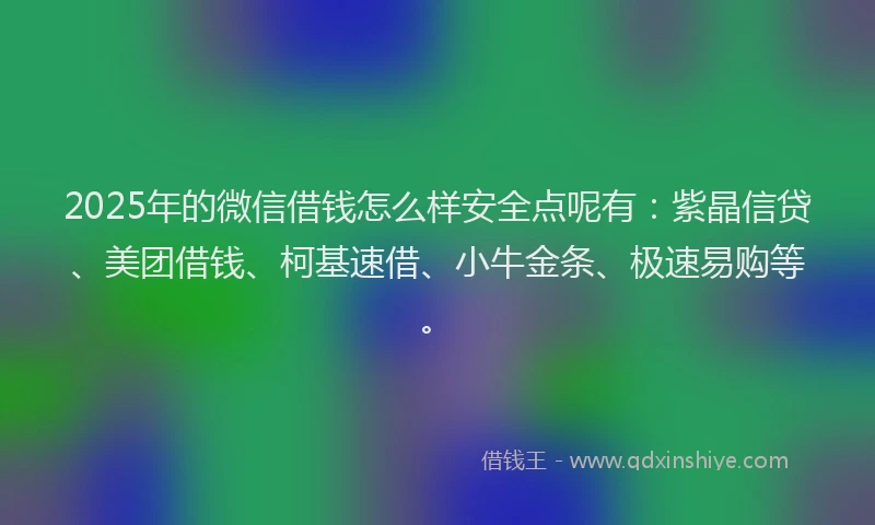2025年的微信借钱怎么样安全点呢有：紫晶信贷、美团借钱、柯基速借、小牛金条、极速易购等。