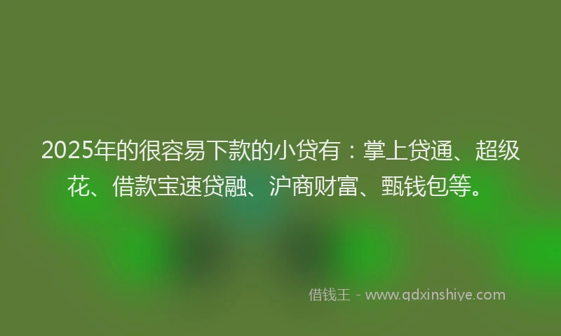 2025年的很容易下款的小贷有：掌上贷通、超级花、借款宝速贷融、沪商财富、甄钱包等。