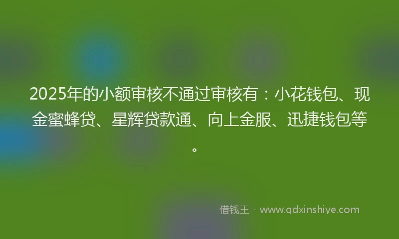 2025年的小额审核不通过审核有：小花钱包、现金蜜蜂贷、星辉贷款通、向上金服、迅捷钱包等。