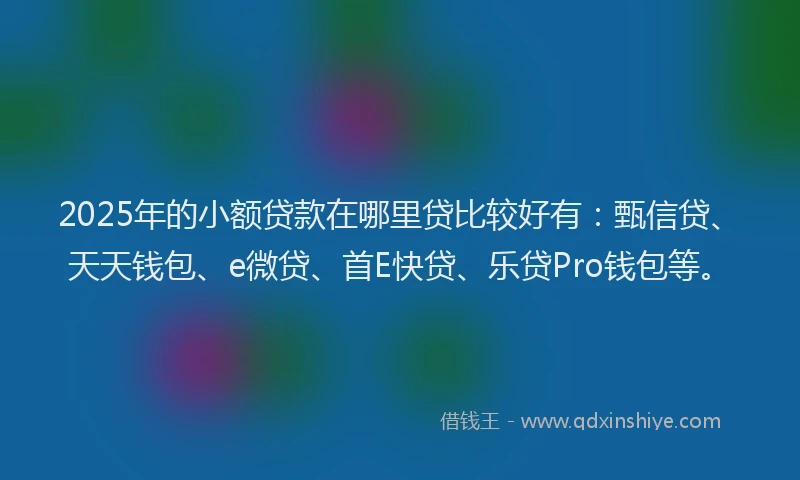 2025年的小额贷款在哪里贷比较好有：甄信贷、天天钱包、e微贷、首E快贷、乐贷Pro钱包等。