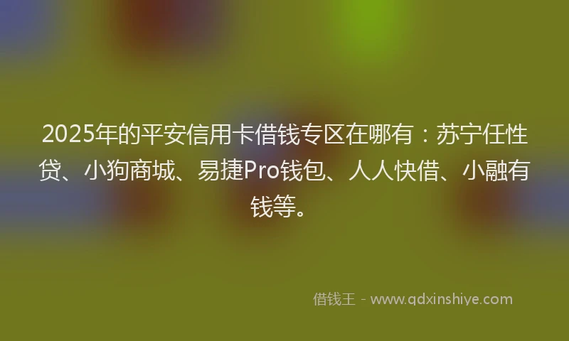 2025年的平安信用卡借钱专区在哪有：苏宁任性贷、小狗商城、易捷Pro钱包、人人快借、小融有钱等。