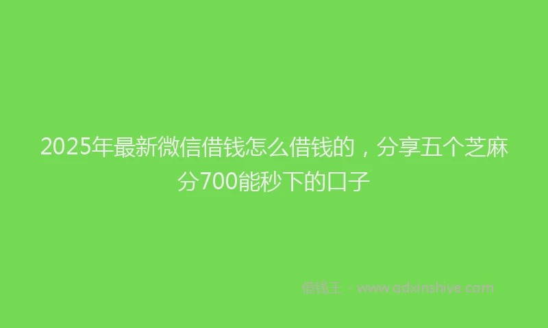 2025年最新微信借钱怎么借钱的，分享五个芝麻分700能秒下的口子