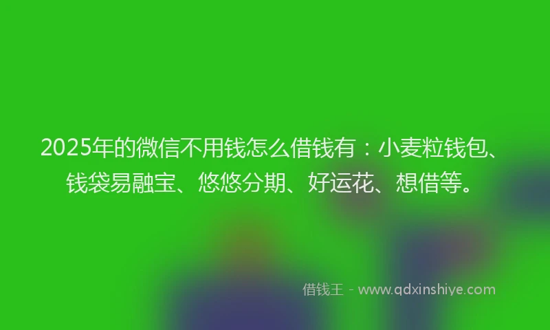 2025年的微信不用钱怎么借钱有：小麦粒钱包、钱袋易融宝、悠悠分期、好运花、想借等。