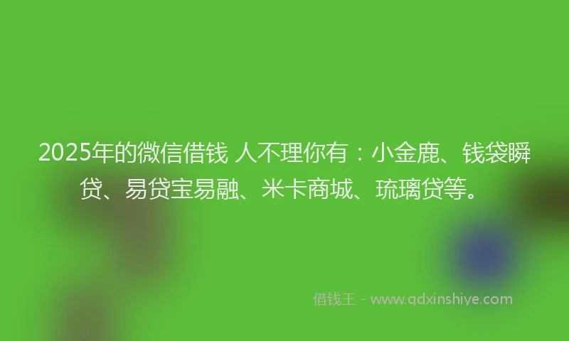 2025年的微信借钱 人不理你有：小金鹿、钱袋瞬贷、易贷宝易融、米卡商城、琉璃贷等。