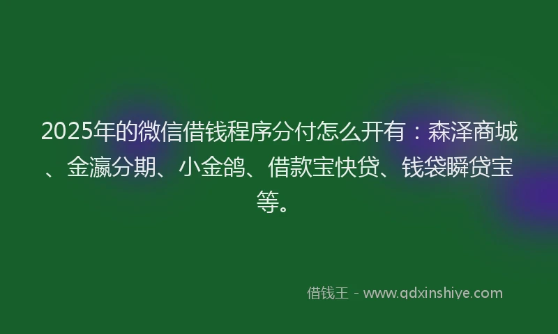 2025年的微信借钱程序分付怎么开有：森泽商城、金瀛分期、小金鸽、借款宝快贷、钱袋瞬贷宝等。