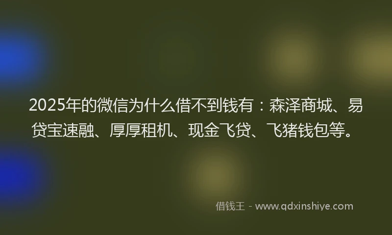 2025年的微信为什么借不到钱有：森泽商城、易贷宝速融、厚厚租机、现金飞贷、飞猪钱包等。
