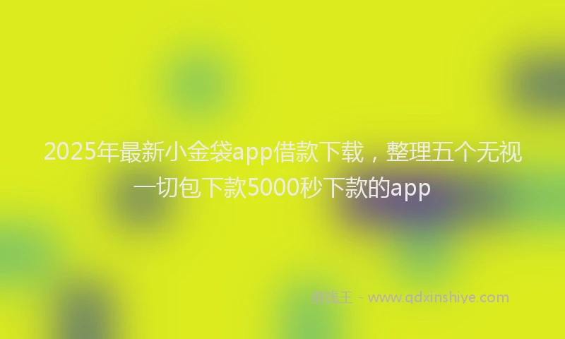 2025年最新小金袋app借款下载，整理五个无视一切包下款5000秒下款的app
