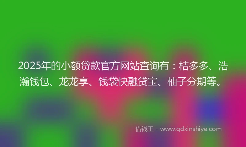 2025年的小额贷款官方网站查询有：桔多多、浩瀚钱包、龙龙享、钱袋快融贷宝、柚子分期等。