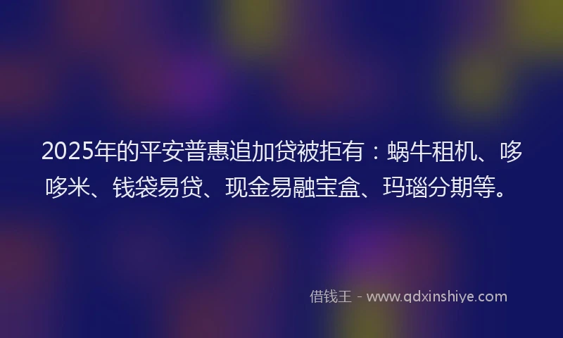 2025年的平安普惠追加贷被拒有：蜗牛租机、哆哆米、钱袋易贷、现金易融宝盒、玛瑙分期等。