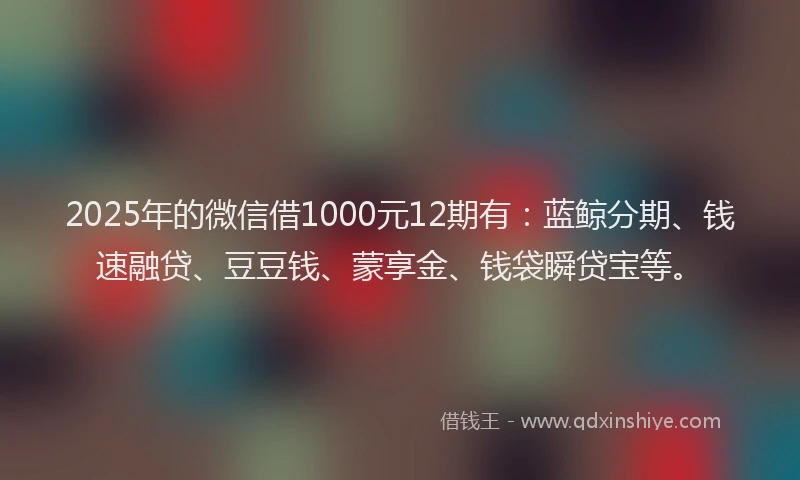 2025年的微信借1000元12期有：蓝鲸分期、钱速融贷、豆豆钱、蒙享金、钱袋瞬贷宝等。