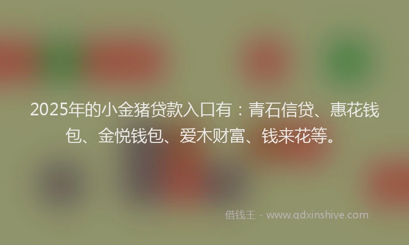 2025年的小金猪贷款入口有：青石信贷、惠花钱包、金悦钱包、爱木财富、钱来花等。