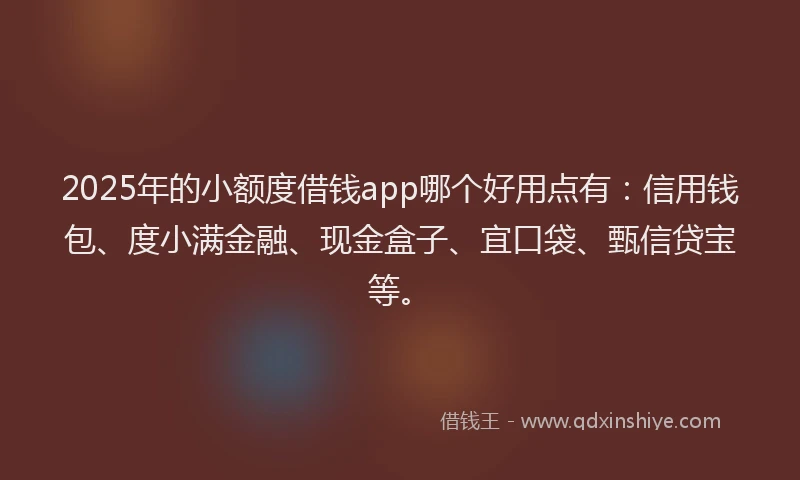 2025年的小额度借钱app哪个好用点有：信用钱包、度小满金融、现金盒子、宜口袋、甄信贷宝等。