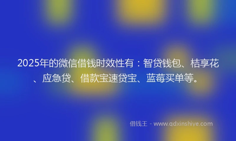 2025年的微信借钱时效性有：智贷钱包、桔享花、应急贷、借款宝速贷宝、蓝莓买单等。