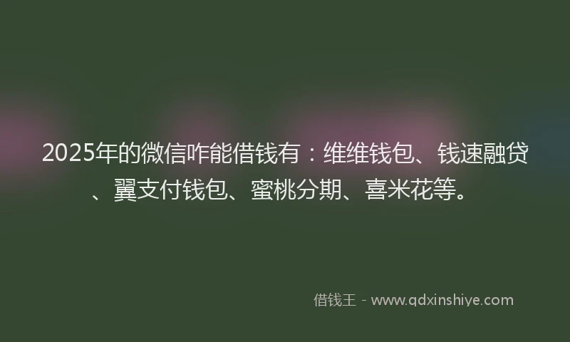 2025年的微信咋能借钱有：维维钱包、钱速融贷、翼支付钱包、蜜桃分期、喜米花等。